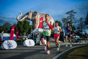 BIB: 
                            <button type="button" onclick="openModal(26541584)" class="btn btn-primary btn-sm float-right btn-popup" data-toggle="modal" data-target=".modal-high-quality">
                        <i class="fas fa-shopping-cart"></i> Add to Cart
                    </button>
                                            <button type="button" onclick="isThisMe(26541584, true)" class="btn btn-success btn-sm float-right btn-popup btn-isme hidden" data-toggle="tooltip" data-placement="bottom" title="นี่คือรูปของคุณใช่ไหม คลิกที่นี่เพื่อเอาเข้าอัลบั้ม">
                        <i class="fas fa-plus"></i> Add to album
                    </button>
                    <button type="button" onclick="isThisMe(26541584, false)" class="btn btn-warning btn-sm float-right btn-popup btn-isnotme hidden">
                        <i class="fas fa-ban"></i> Remove from album
                    </button>